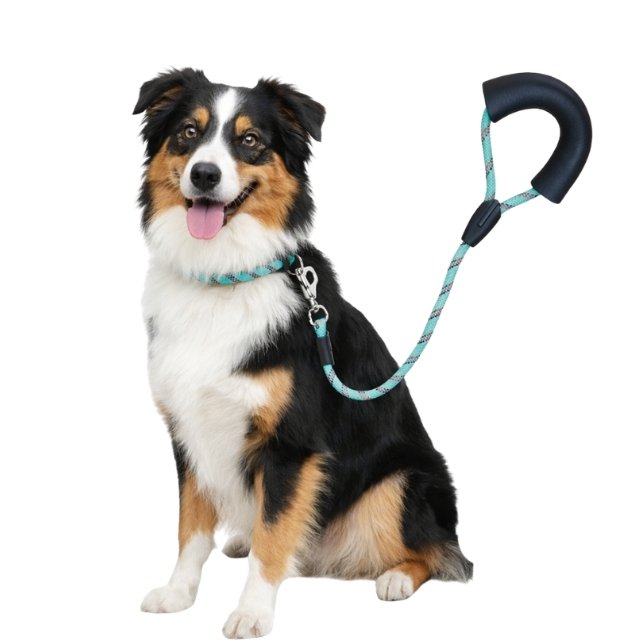 Correa FLOMM Pets Style