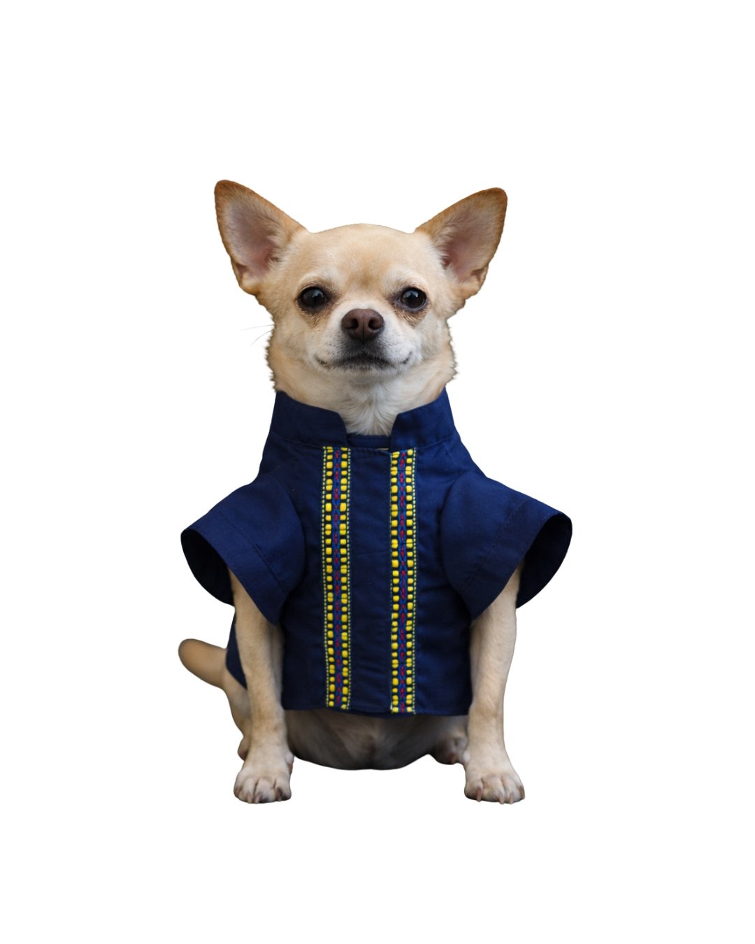 Guayaberas FLOMM Pets Style