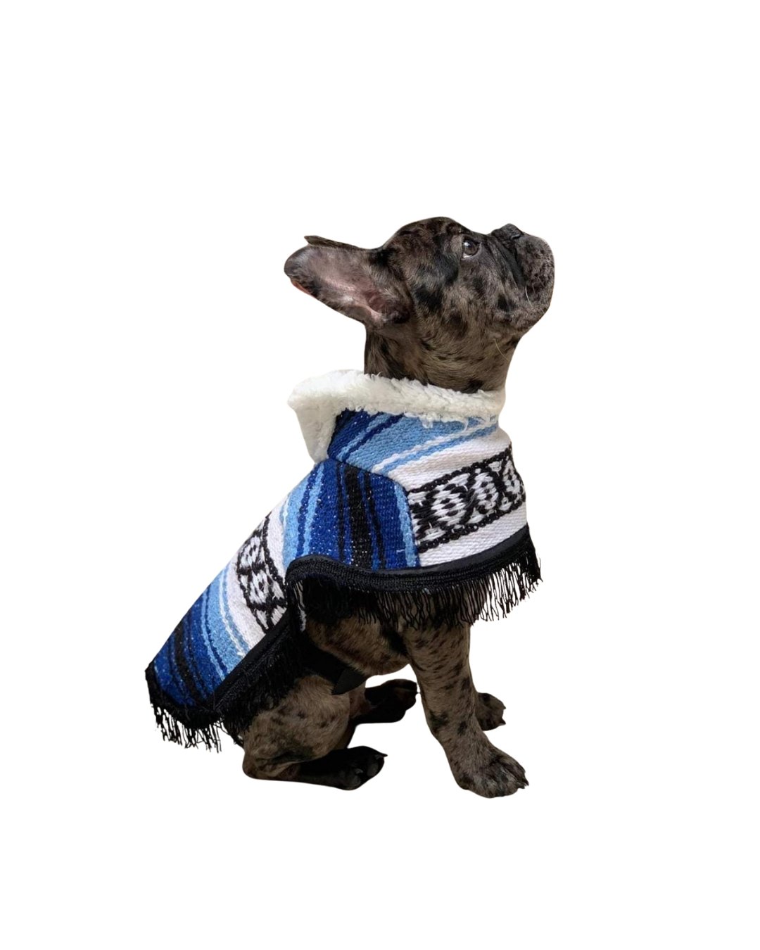 Jorongo con borrega para perro