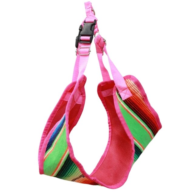 Pecheras FLOMM Pets Style