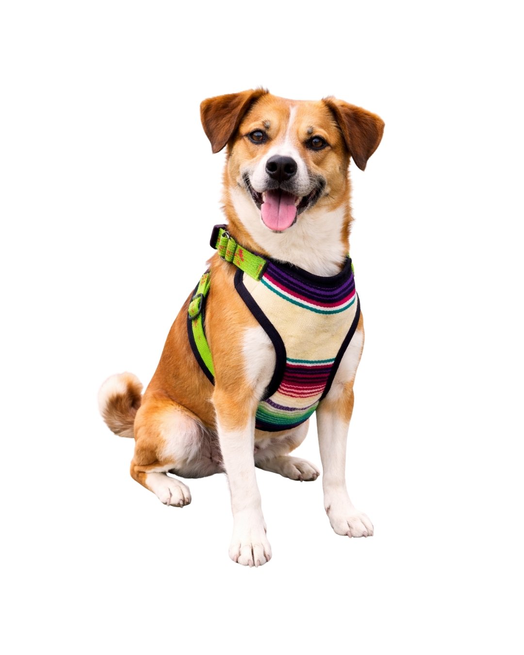 Pechera para perro (accesorios de paseo)