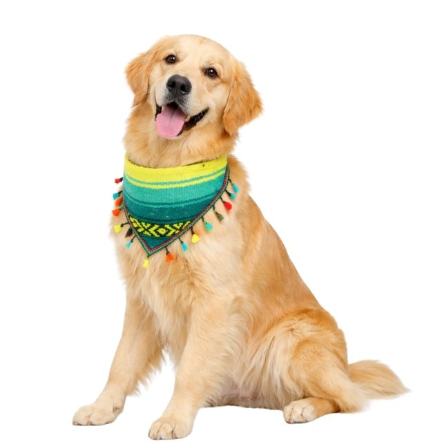 Perriacates FLOMM Pets Style