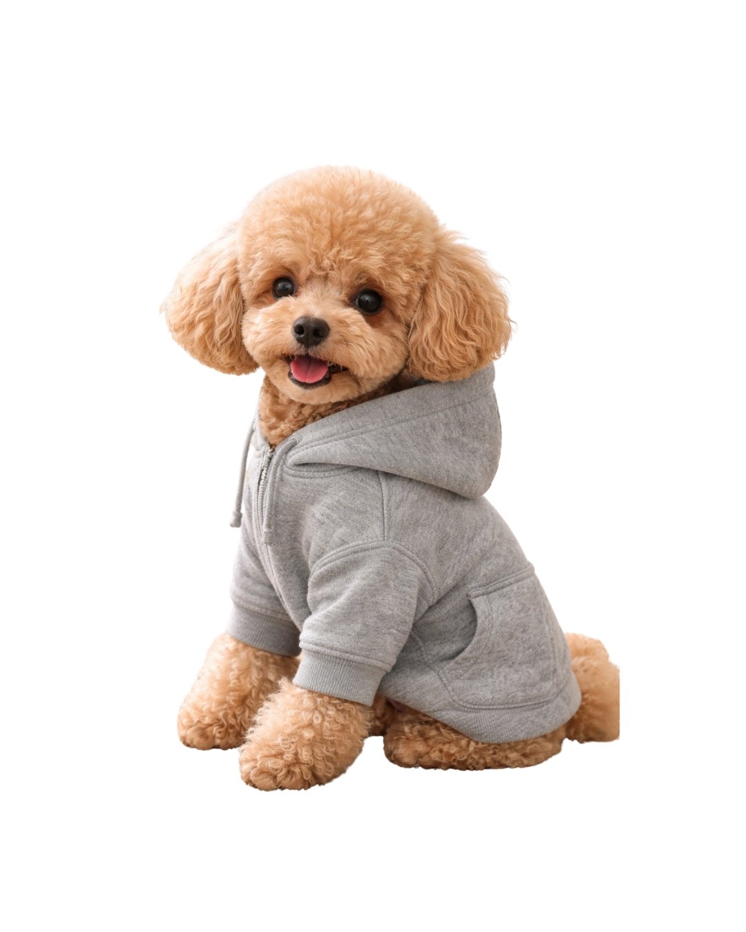 Sudadera para perro