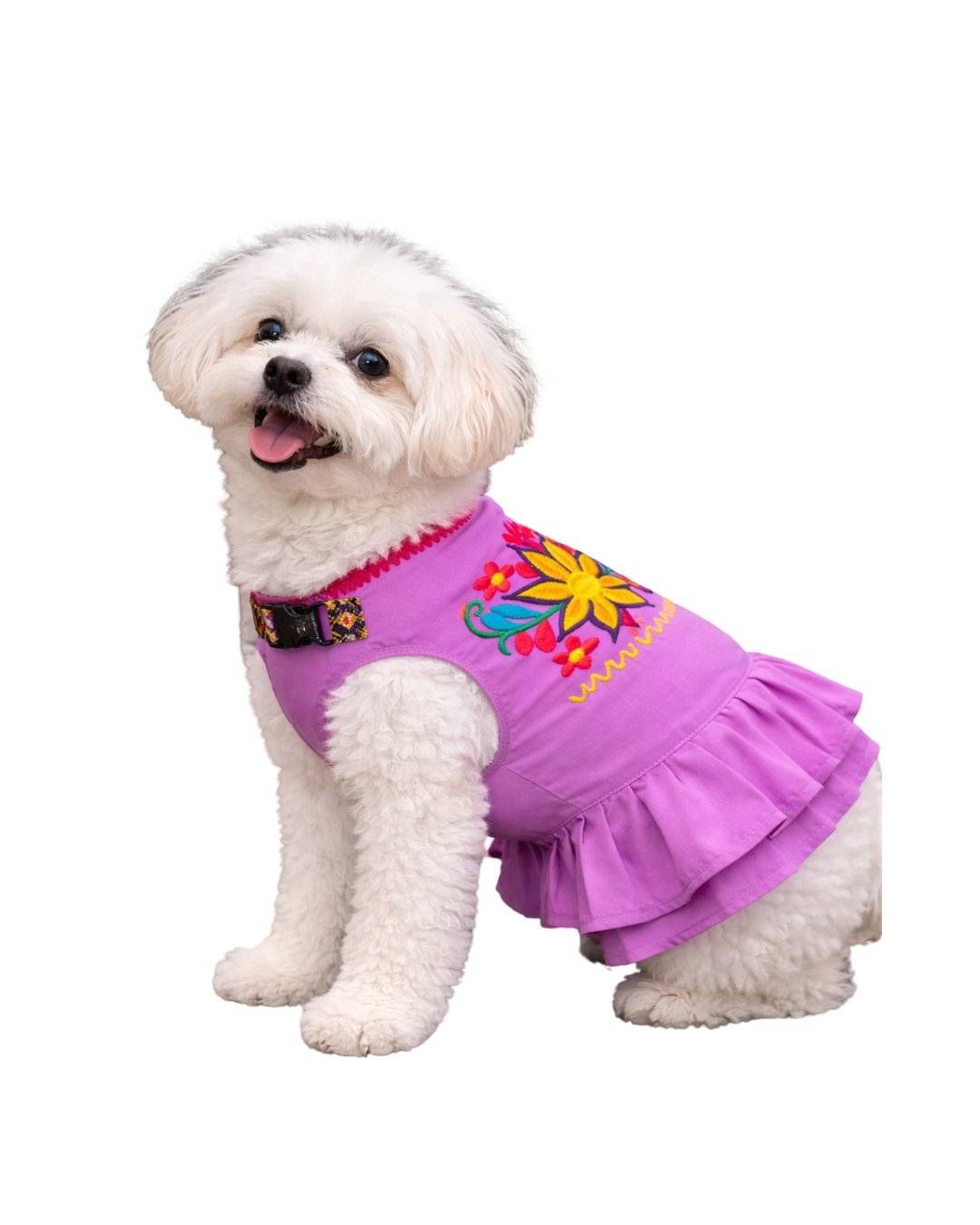 Vestido FLOMM Pets Style